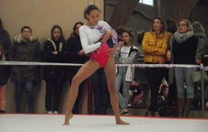 EXAMEN JUGE 2 GYMNASTIQUE ARTISTIQUE FÉMININE