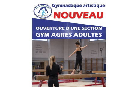 NOUVEAU gym aux agrès adulte
